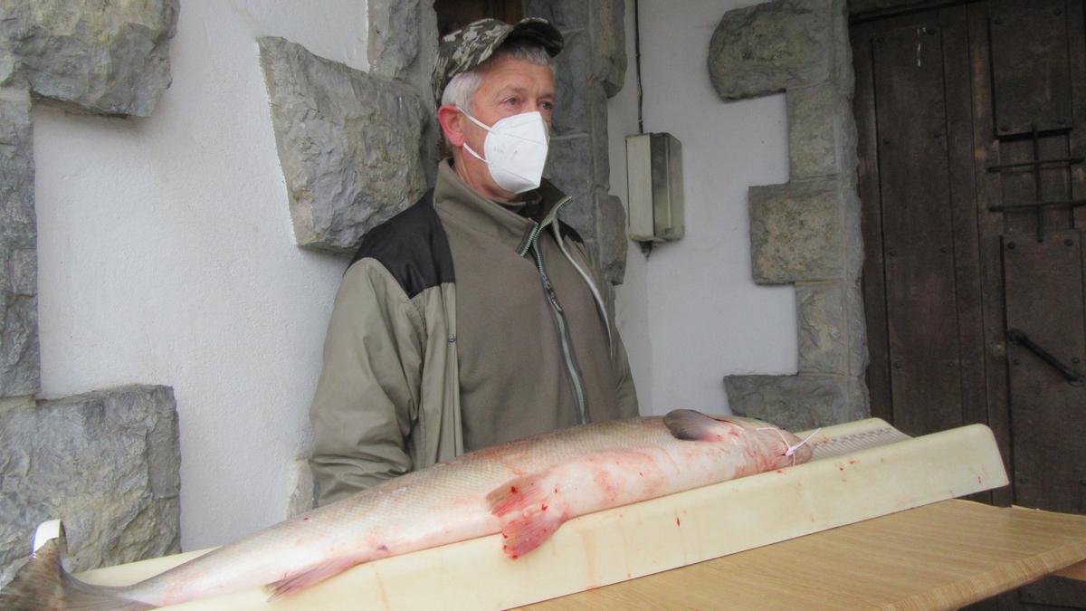 Rogelio Diego, con el campanu del Sella del año pasado.