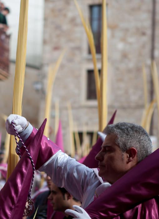 Procesión de La Borriquita