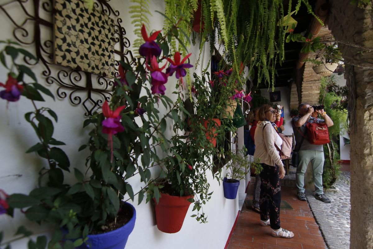 Paseando por el Alcázar Viejo