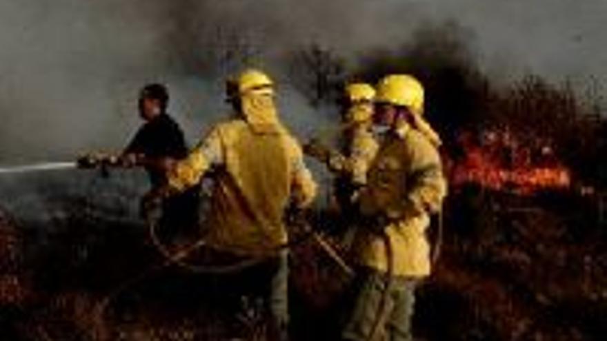 Un nuevo plan amplía las medidas de prevención de incendios forestales