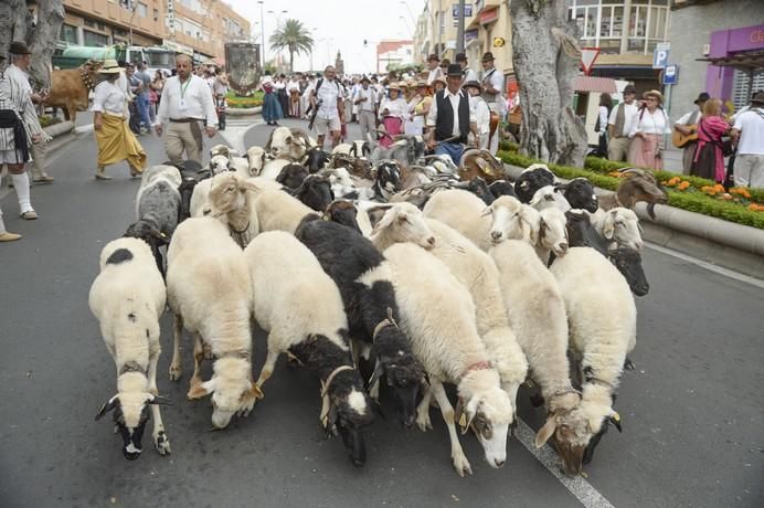 ROMERIA DE GALDAR