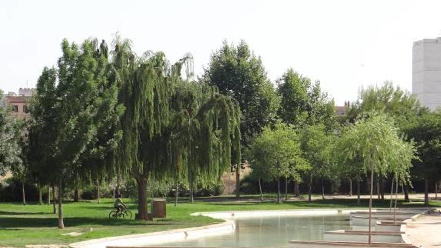 El ayuntamiento nombra el parque del Raval como Botánica Carmen Albert