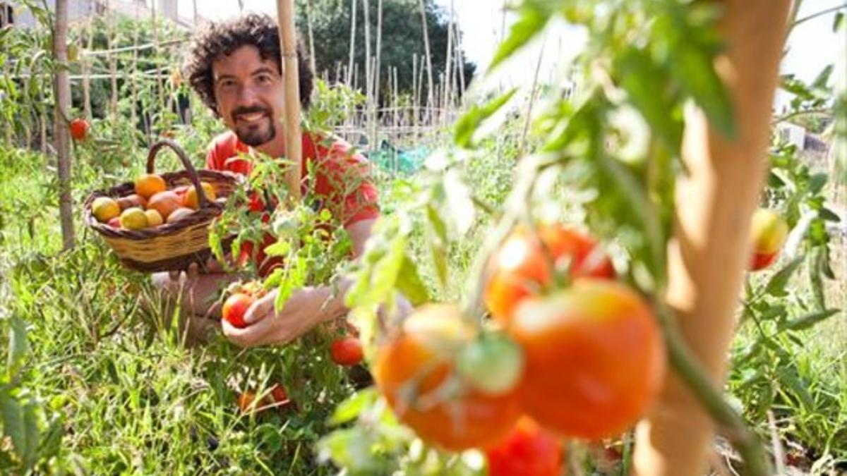 «A los tomates no les gusta la globalización»_MEDIA_1