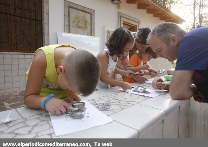 GALERÍA DE FOTOS -- Educación medioambiental en El Termet de Vila-real