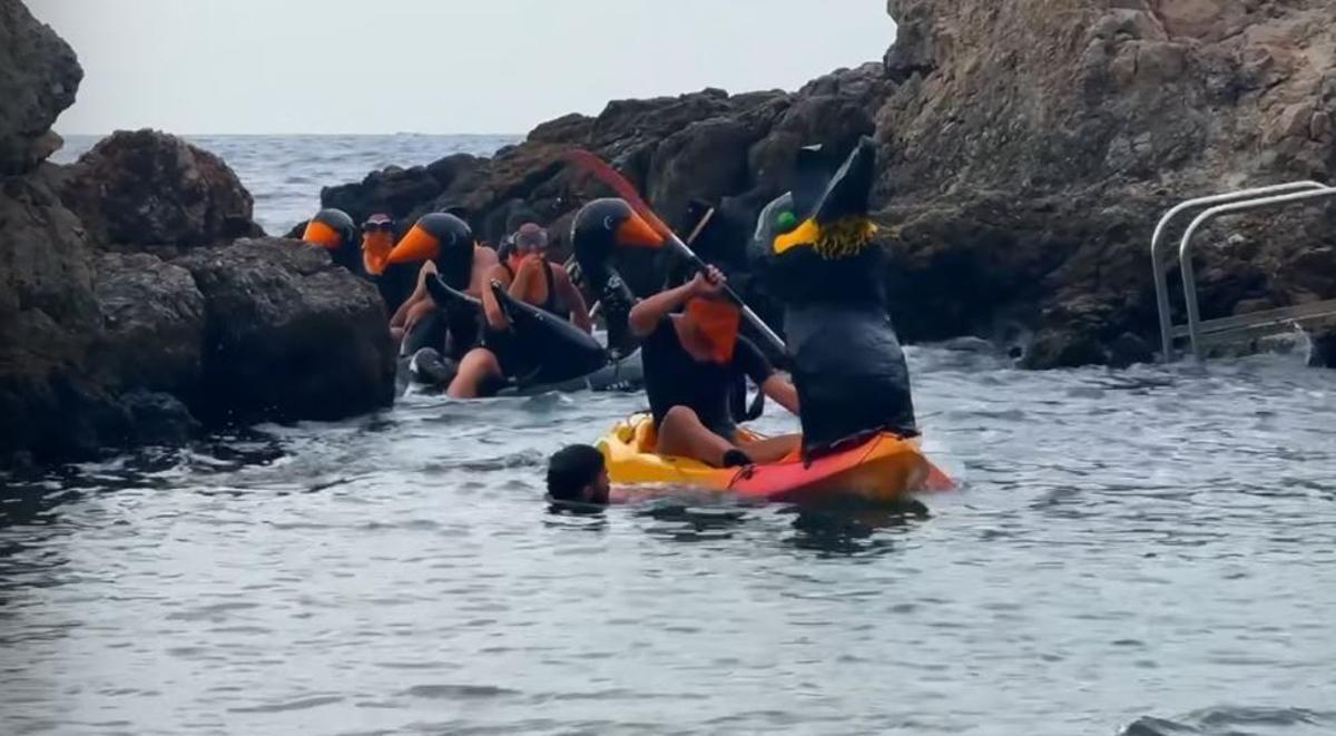 Auch auf Kormoranen paddelten die Aktivisten in die Bucht