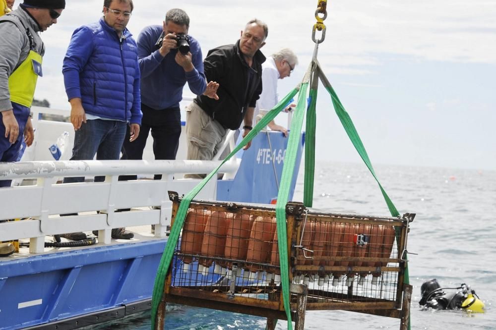 Moment en què es procedeix a submergir una de les gàbies amb ampolles de vi a Roses