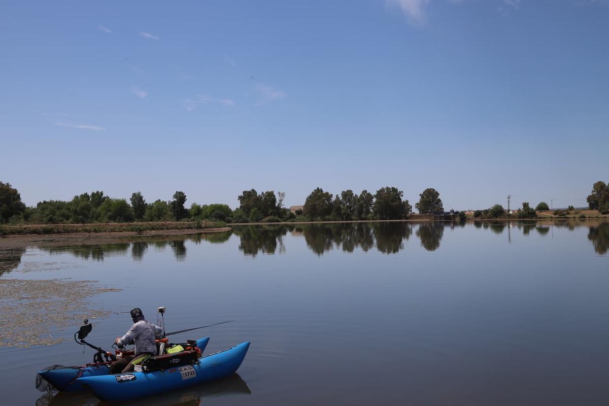Un pescador con un pato en la zona en la que se ha producido el accidente de un hombre en el río Guadiana a su paso por Badajoz.