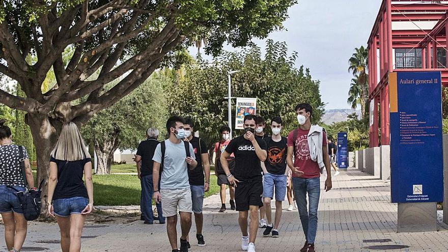 Los estudiantes de primer curso en los campus de Elche 