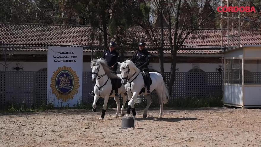 La unidad de caballería de Córdoba cumple 150 años