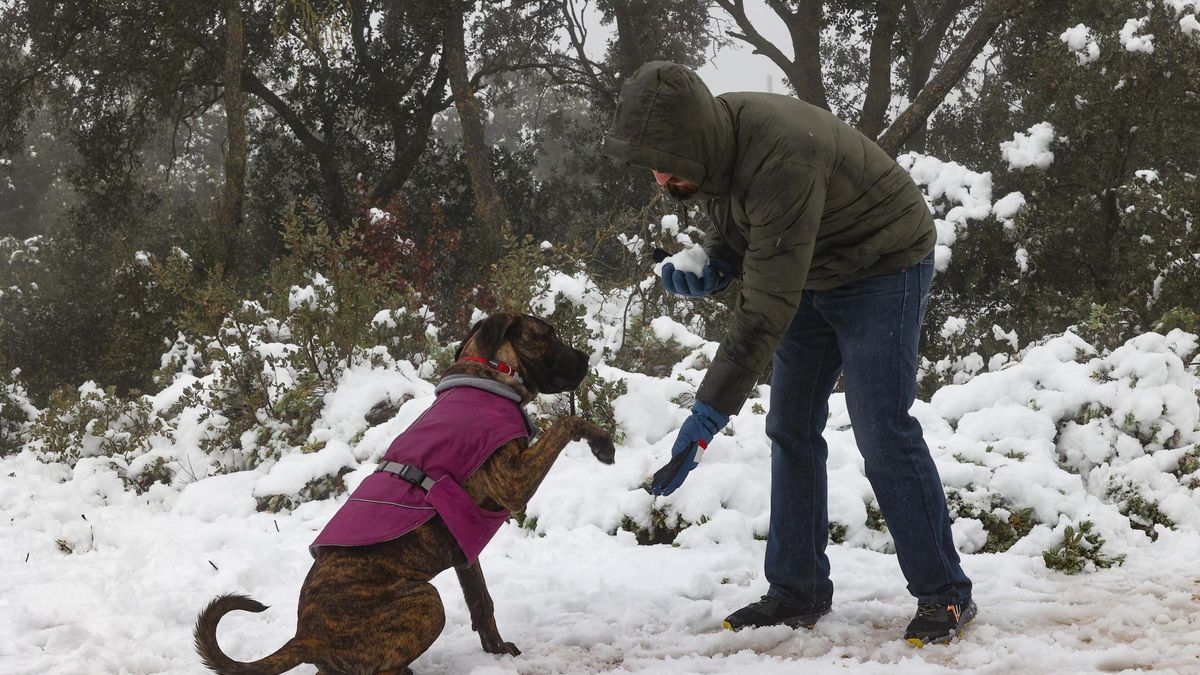 Nieve en Alicante: las estampas más esperadas en invierno