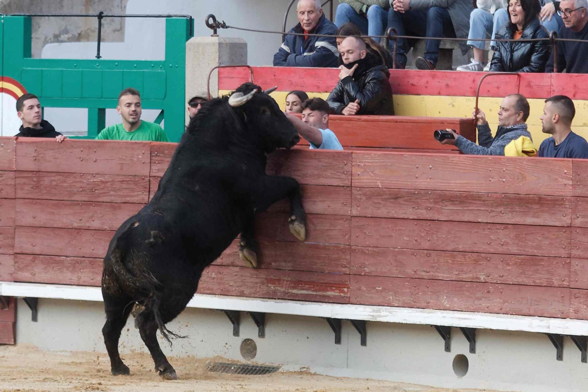 Jornada benéfica taurina en Castelló