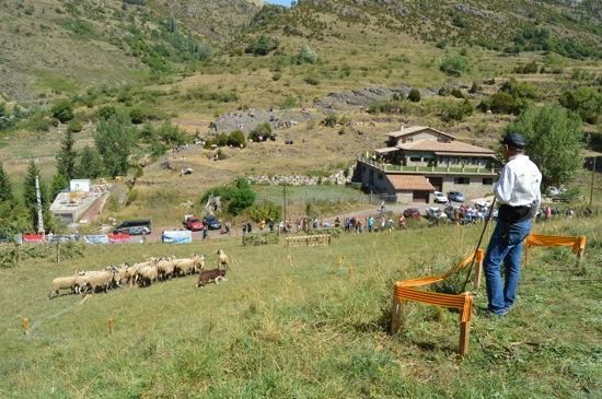 Concurs de gossos d''atura de Castellar de n''Hug