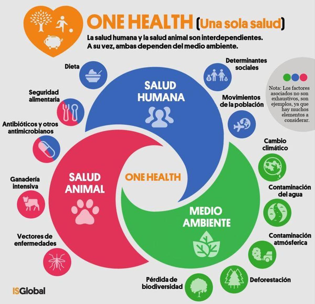 Esquema general de 'One Health'