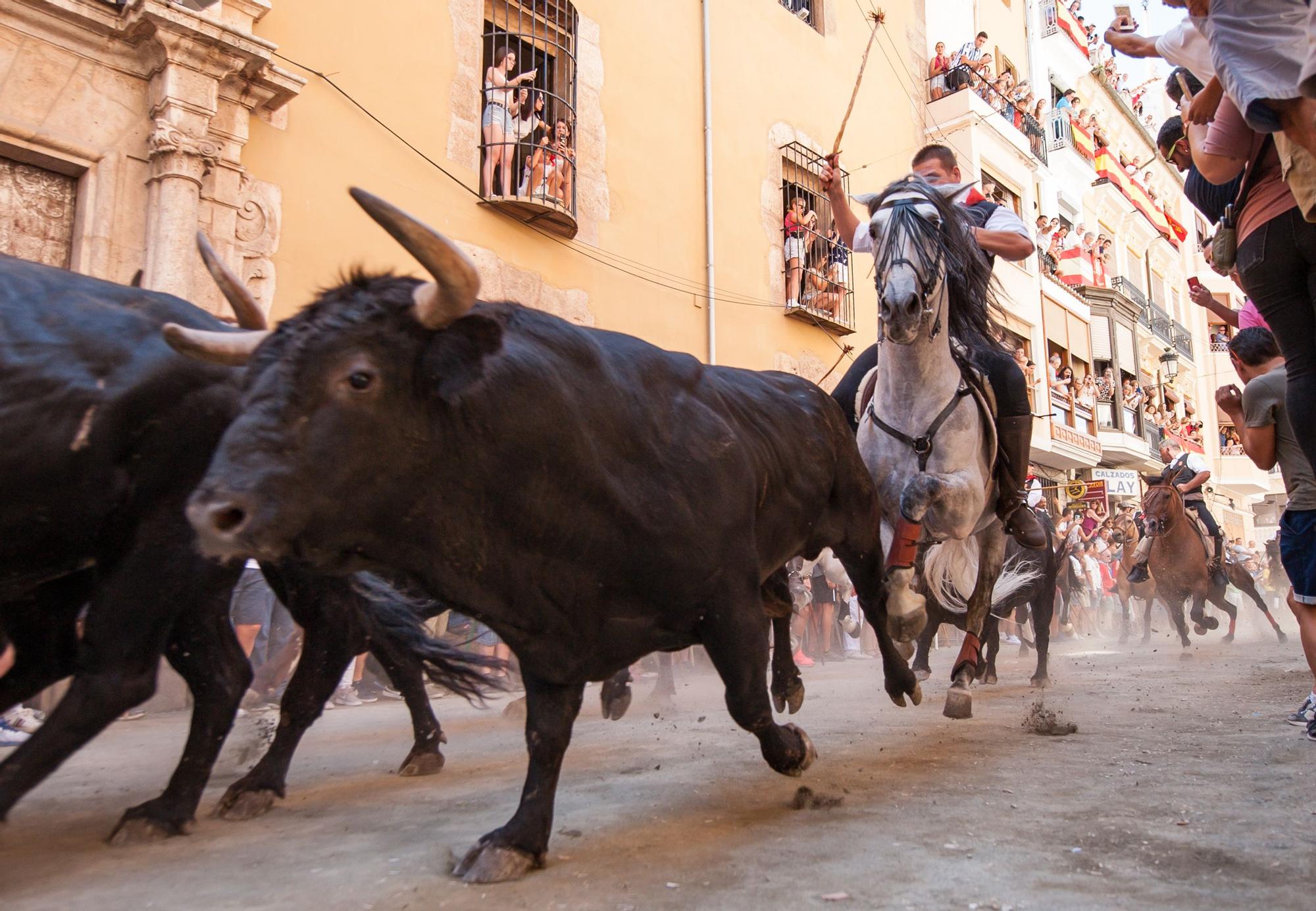 Las fotos de la cuarta Entrada de Toros y Caballos de Segorbe