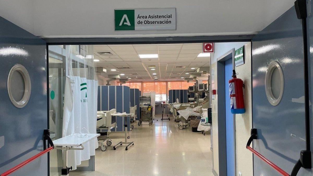 El complejo del Hospital Clínico Universitario Virgen de la Victoria activa el plan de Alta Frecuentación como cada año por estas fechas por el aumento de la incidencia de virus respiratorios.