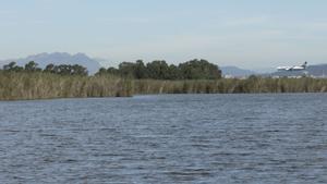 El nou pla de gestió del delta del Llobregat inclourà la Ricarda