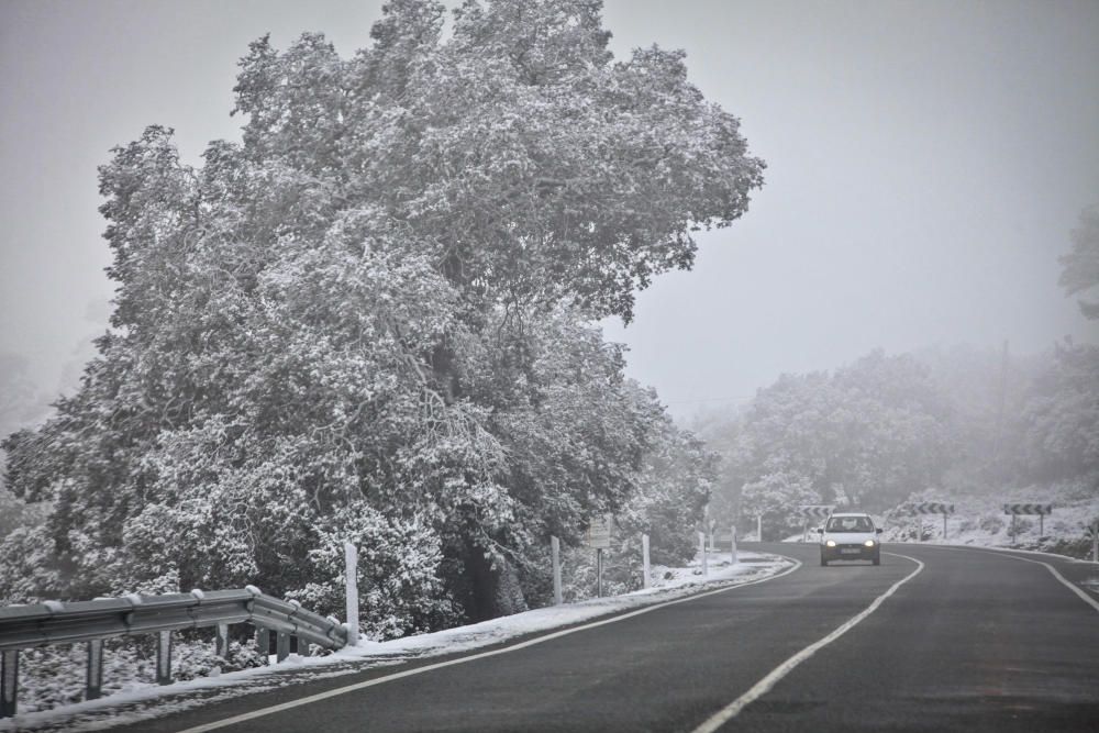 Nueva nevada en l'Alcoià y El Comtat