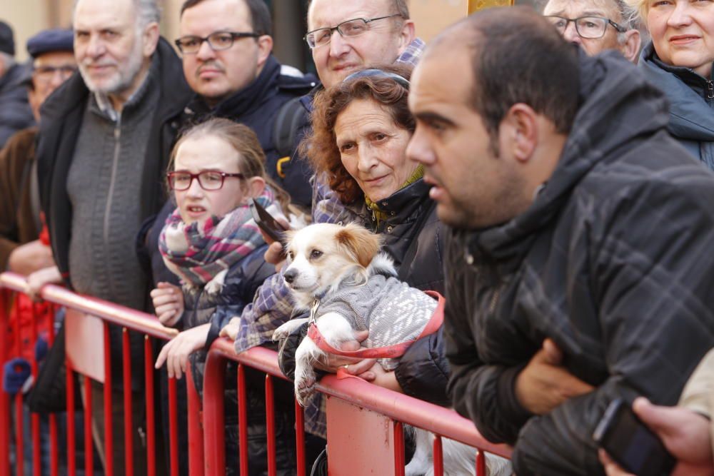 Sant Antoni en Valencia 2017