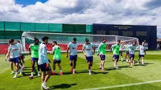 Modric pone a prueba la fiabilidad de la 'España Fútbol Club' de De la Fuente