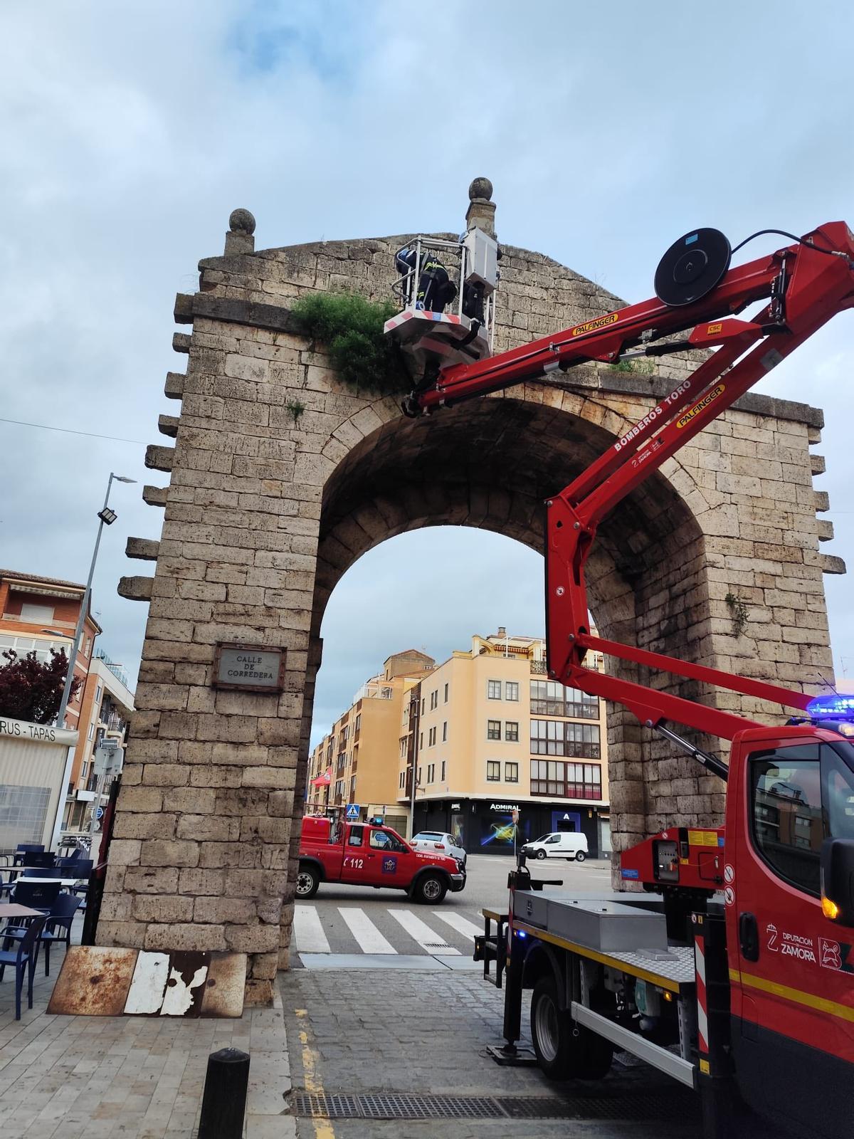 Bomberos de Toro retiran la maleza acumulada en el Arco de Corredera.
