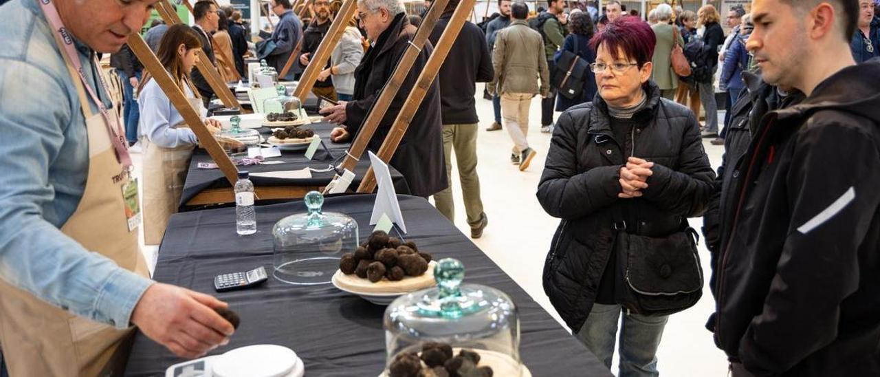 Venta de trufas negras en la feria Trufforum de Vic