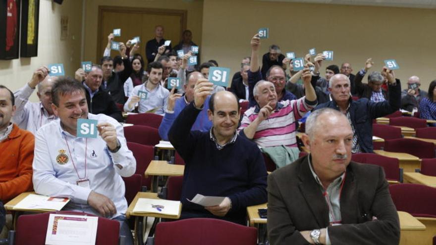 Los integrantes de la Asamblea en un momento de la votación.