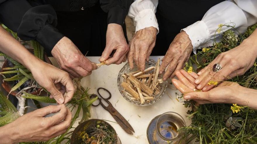 La Nau presenta una exposició sobre els sabers femenins entorn de les plantes i les cures a partir d’un herbari del s.XVI