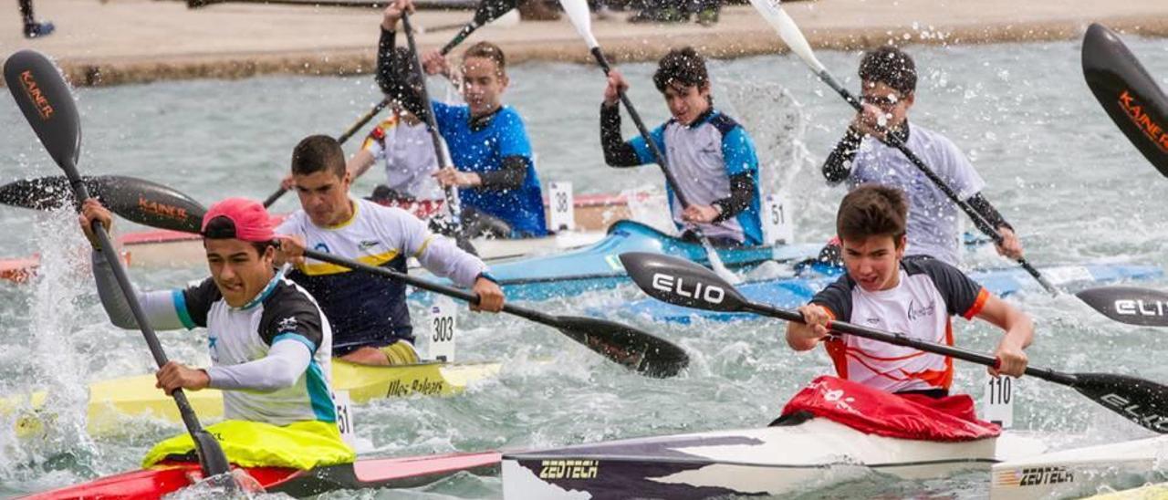 Varios palistas durante las competiciones de la Copa Balear de Promoción celebrada el pasado sábado.