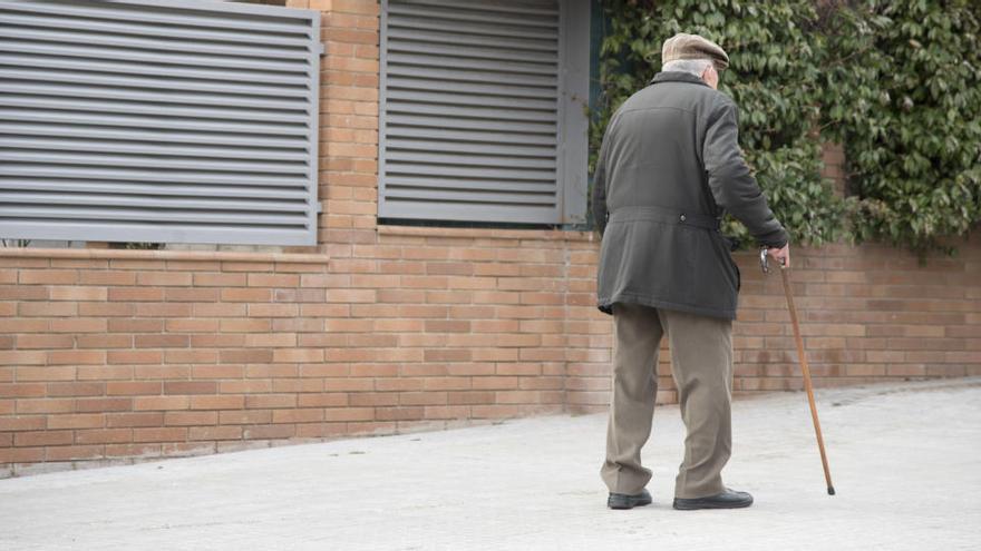 Un avi caminant pel carrer, a Manresa |