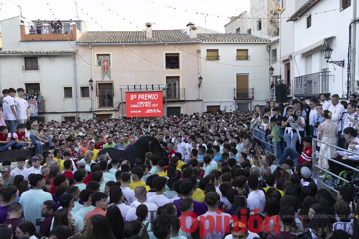 Fiestas de Caravaca | Entrega de premios del concurso morfológico