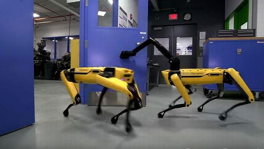 Los perros robots de Boston Dynamics ya pueden abrir puertas y escapar