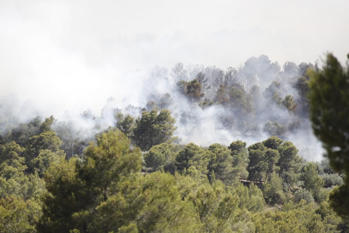 Incendio en la Serra Calderona