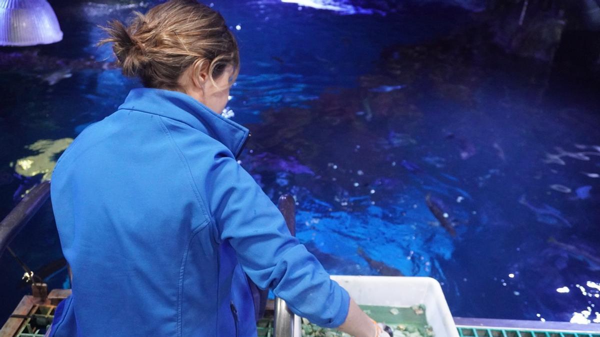 El Acuario de Gijón potencia el papel de la mujer en la ciencia (Vídeo)