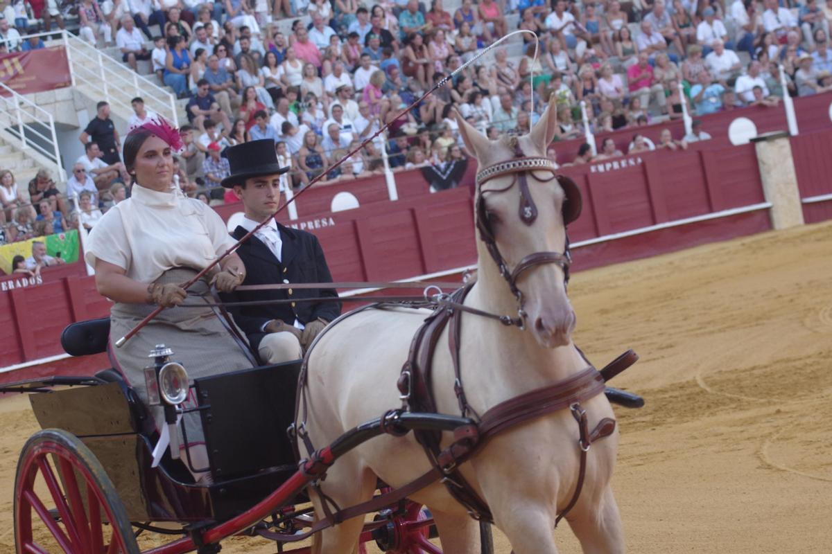 Fotos del concurso de exhibición de Enganches de Caballos Ciudad de Málaga 2026