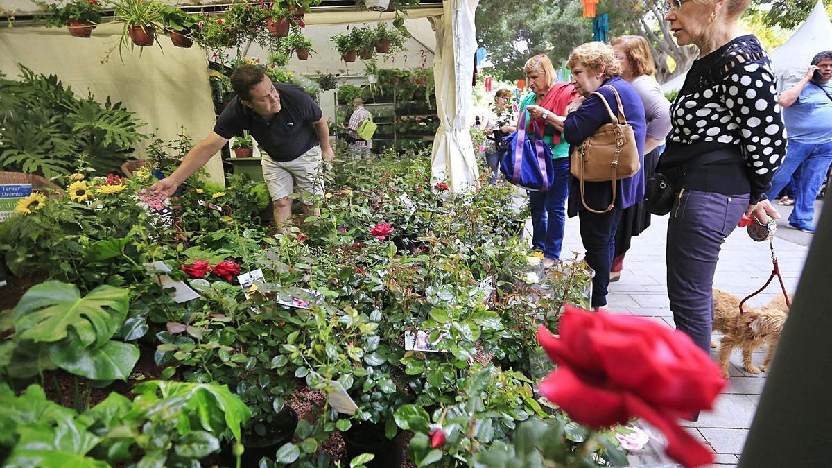 Imagen de archivo de la exposición de flores y artesanía en el parque.