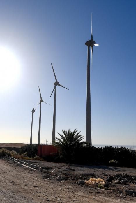 INAGURACION DEL MAYOR PARQUE EOLICO DE CANARIAS