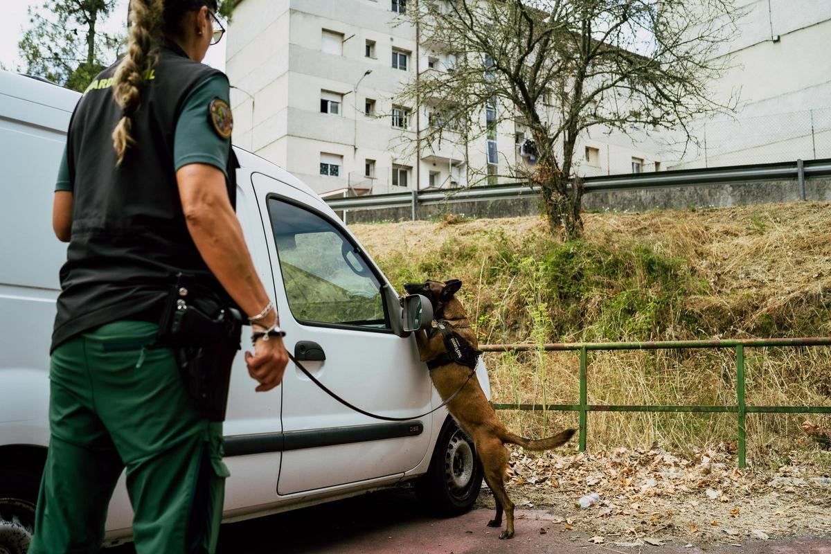 Momento en el que la perra Kira detecta un trozo de hachís escondido en un vehículo