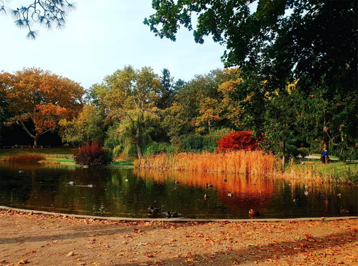Türkenschanzpark, Viena, Austria