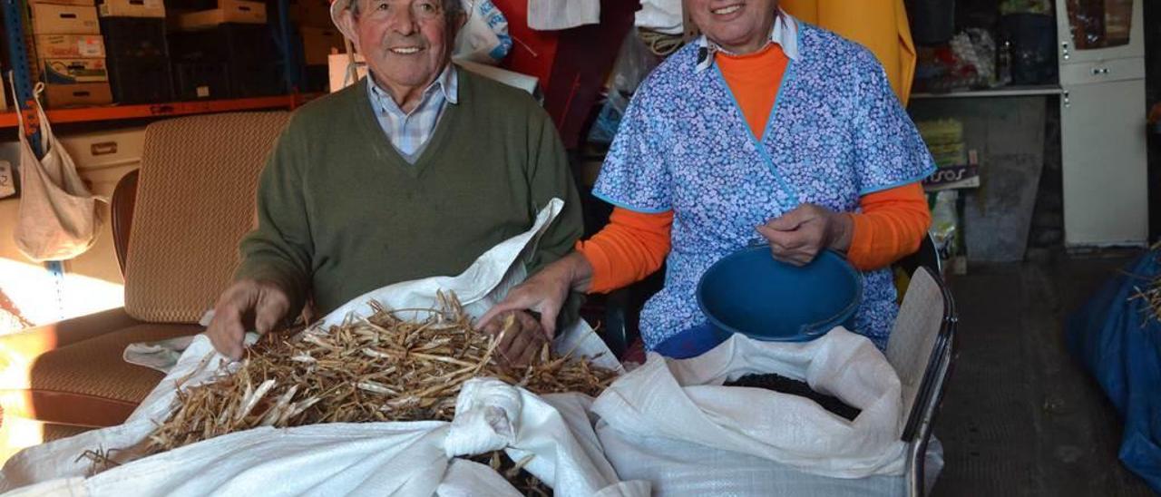 Roberto Asprón y Florentina Gutiérrez, en su casa de Sales (Colunga).