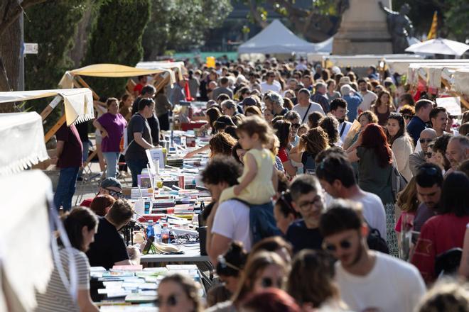Todas las imágenes de la Diada de Sant Jordi en Vara de Rey