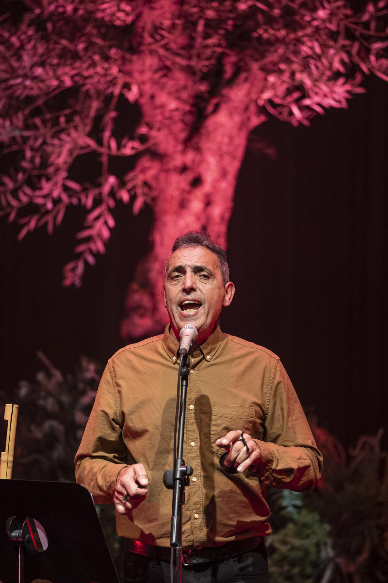 Concierto de Pep Gimeno "Botifarra" en el Palau de les Arts de València.