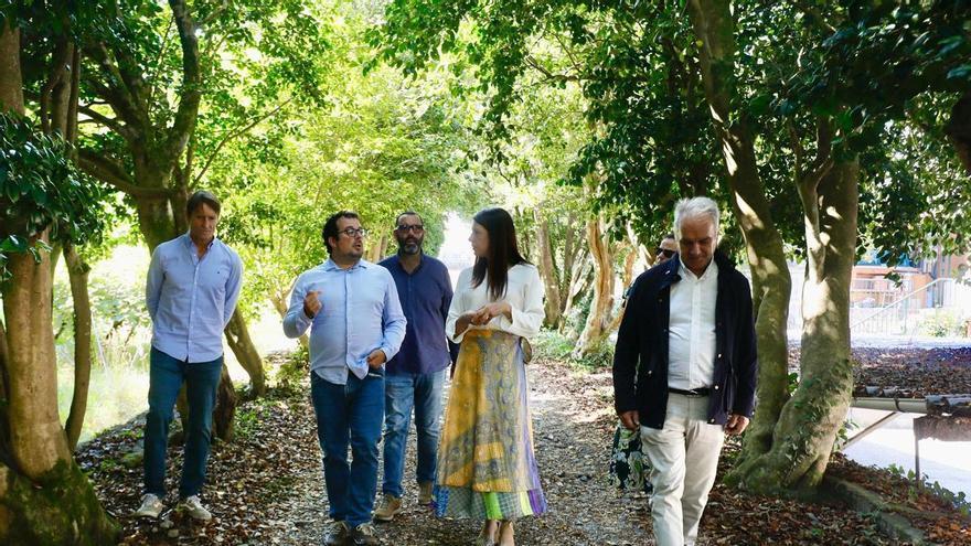 El auge de los estudios forestales dispara las matrículas en Lourizán por encima del 81%