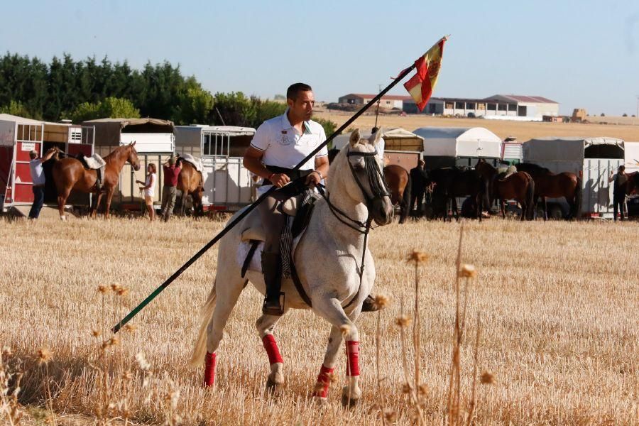 Encierro campero en Moraleja del Vino