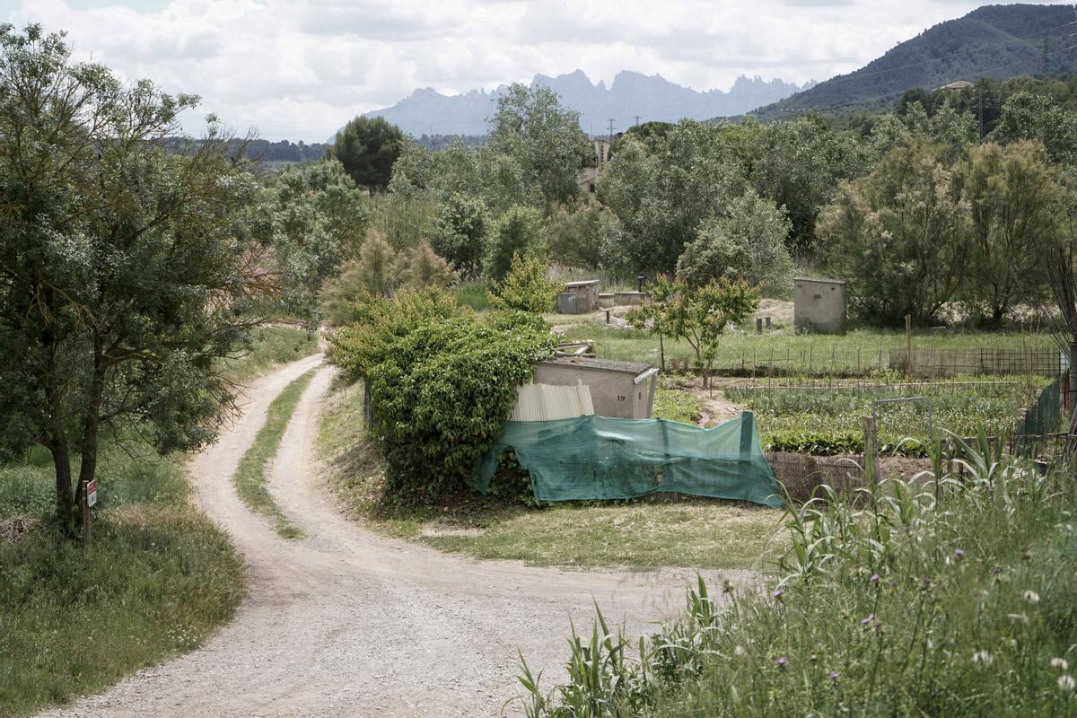 Imatge de la Font, a Callús, on es vol fer una nova zona verda