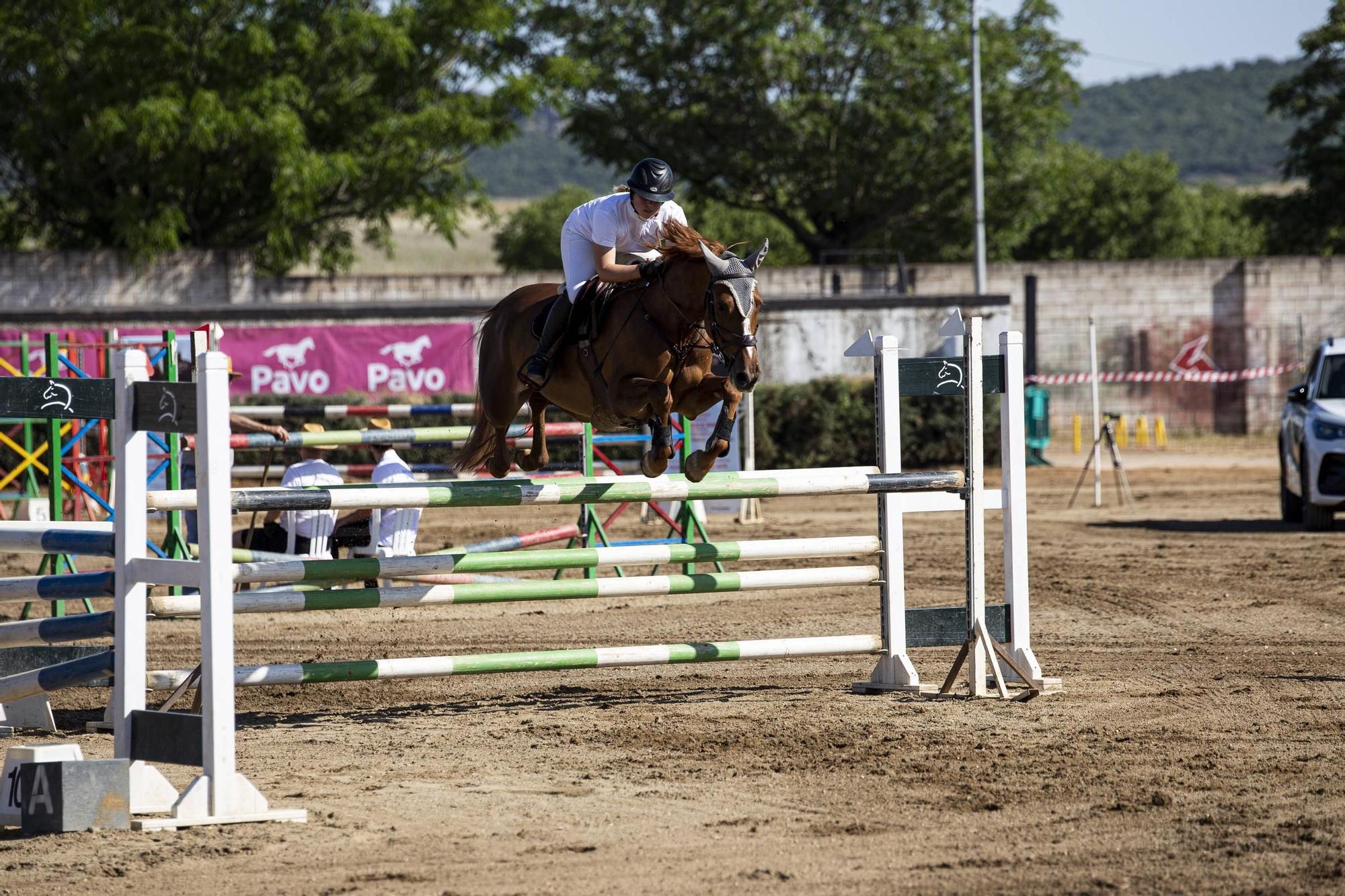 Participantes en la primera jornada del concurso nacional de saltos