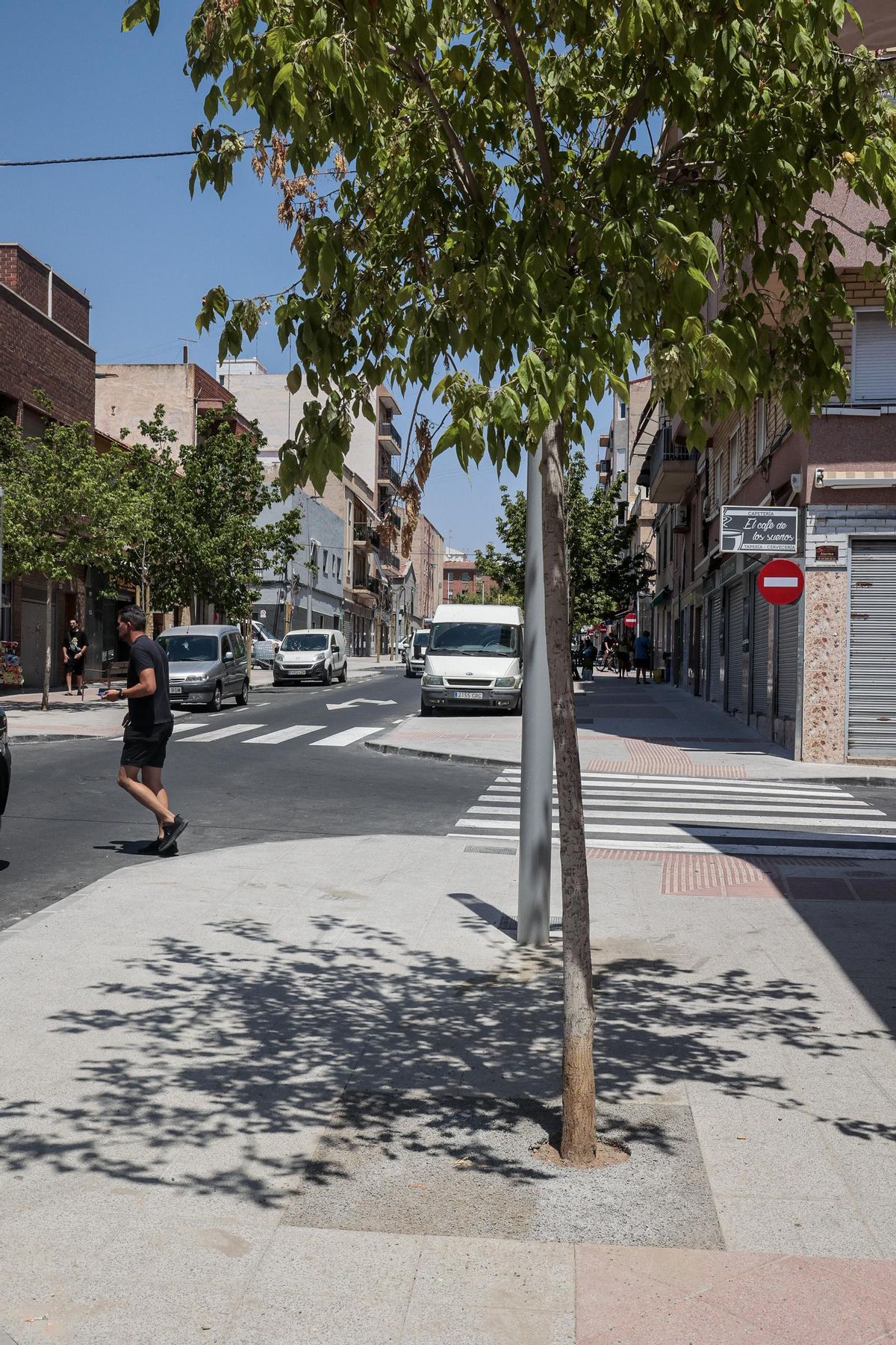 Los vecinos consideran que el cemento poroso puede "ahogar" los troncos de los árboles en Elche