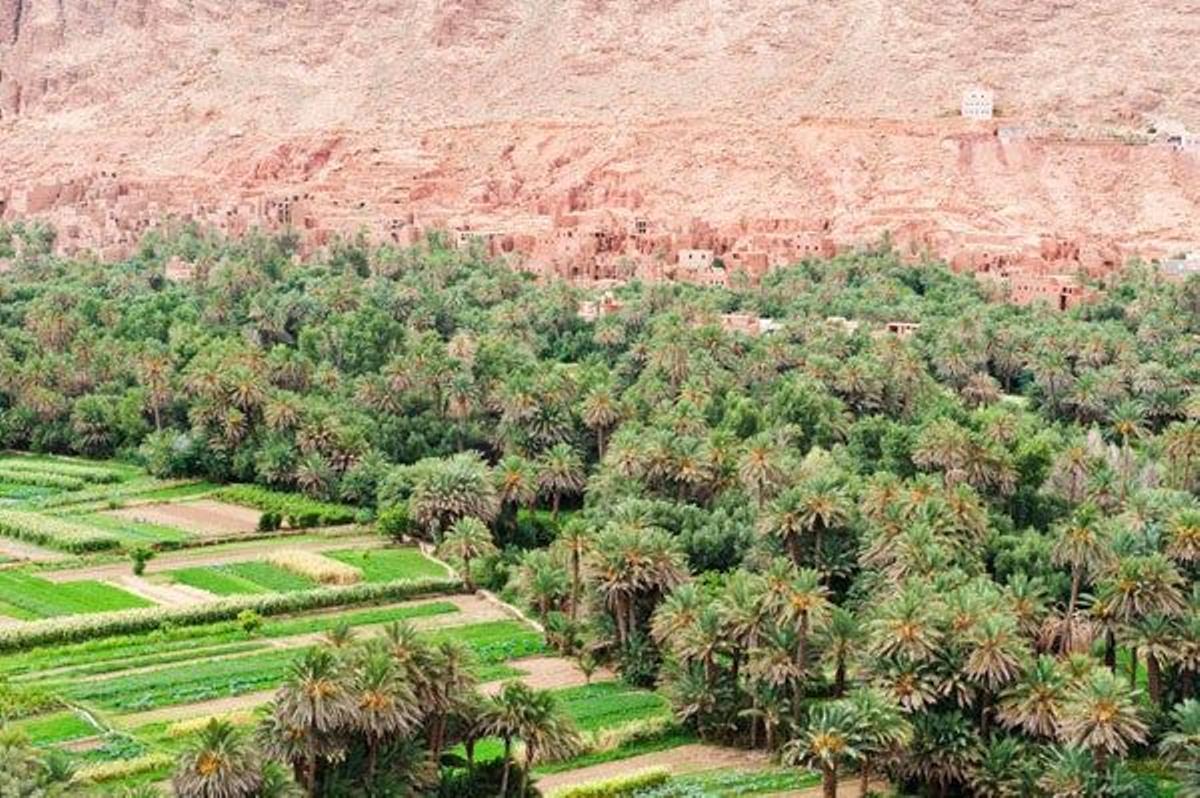 Oasis de Tinerhir en Marruecos.