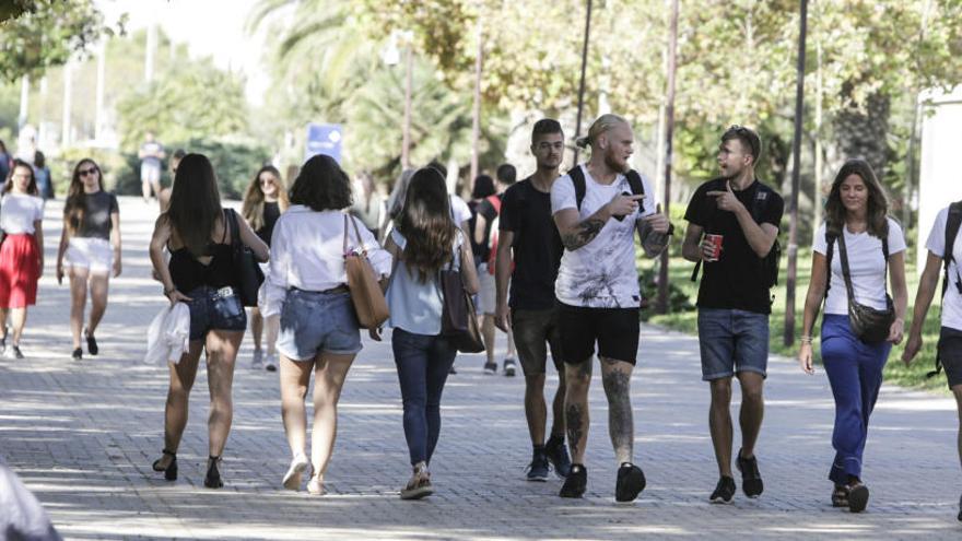 Educación concede becas por 3,2 millones de euros a los universitarios de Alicante y Elche