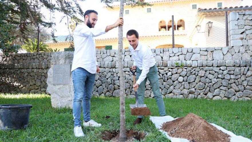 Galmés planta un árbol contra el cambio climático