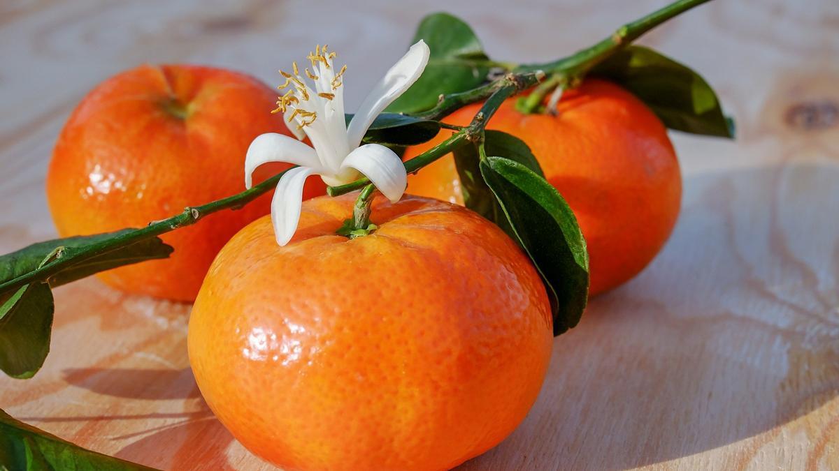 El mandarino también dará unas bonitas y aromáticas flores blancas